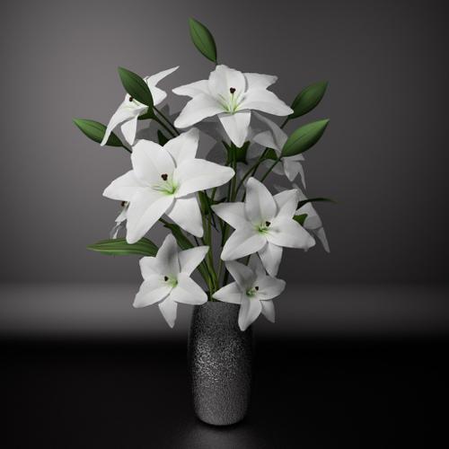 White lily preview image